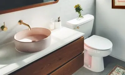Plumbing & Toilet Trim