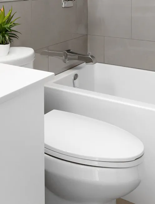Plumbing & Toilet Trim